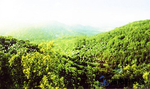 合肥肥西老母鸡家园栖凤湖拓展基地