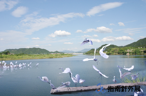 安徽白鹭岛拓展基地