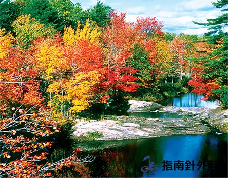 百泉山野外拓展基地