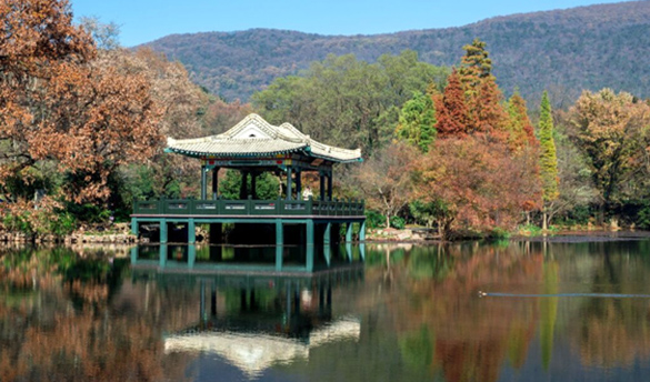 南京中山植物园拓展基地