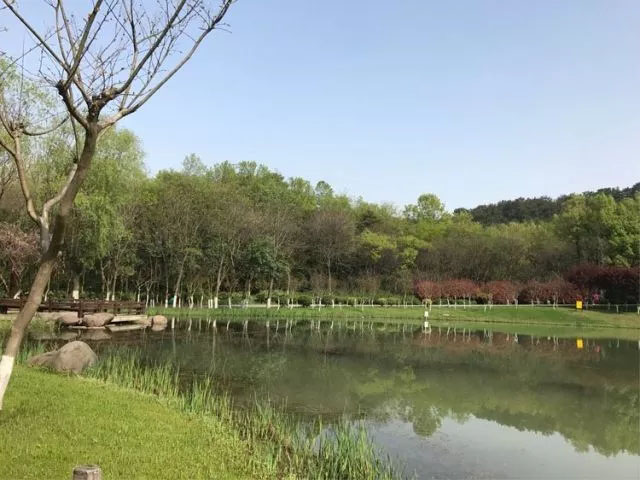 聚宝山体育拓展训练基地