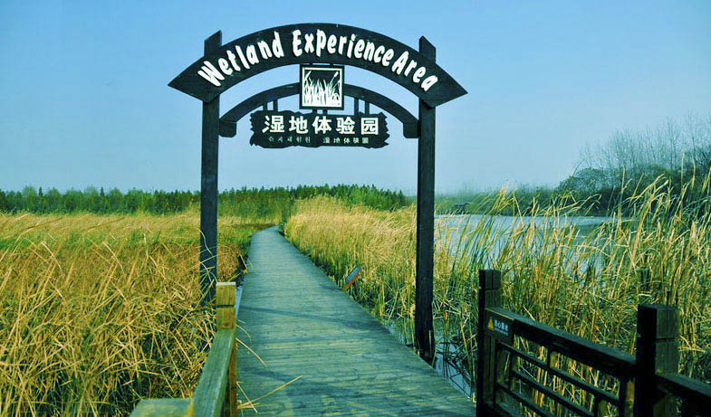 泰州溱湖国家湿地公园拓展基地