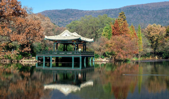 南京中山植物园拓展基地